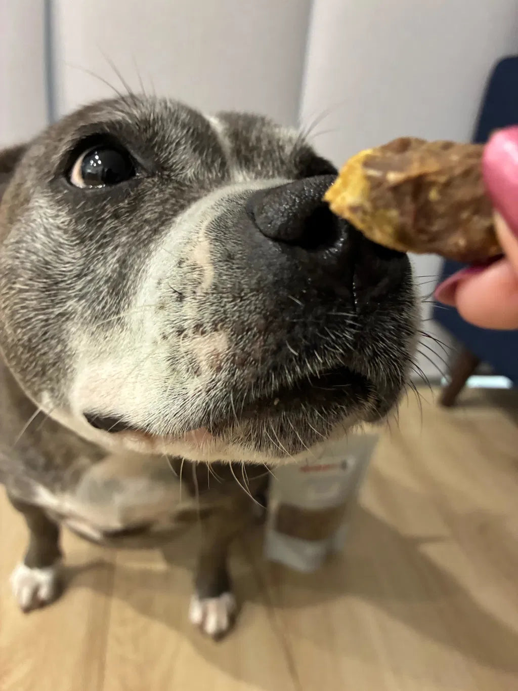 Freeze-Dried Chicken Hearts