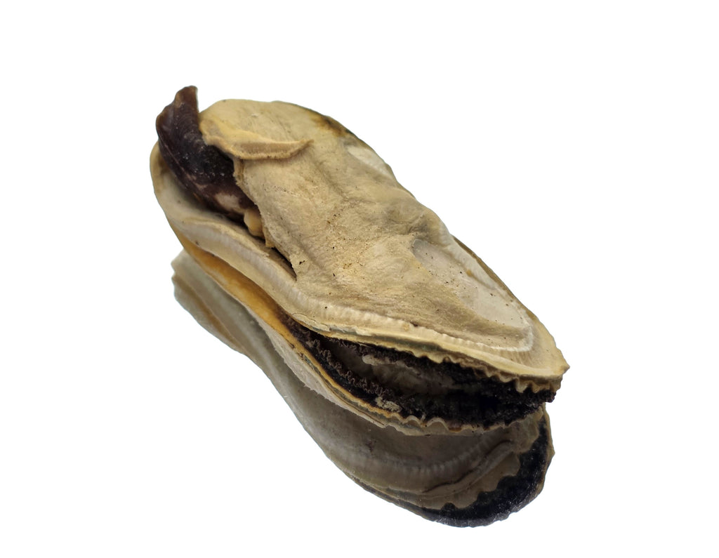 Freeze-Dried Mussel Sampler