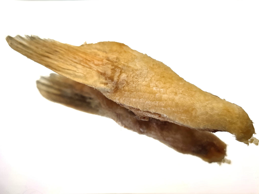 Freeze-Dried Salmon Fin Sampler