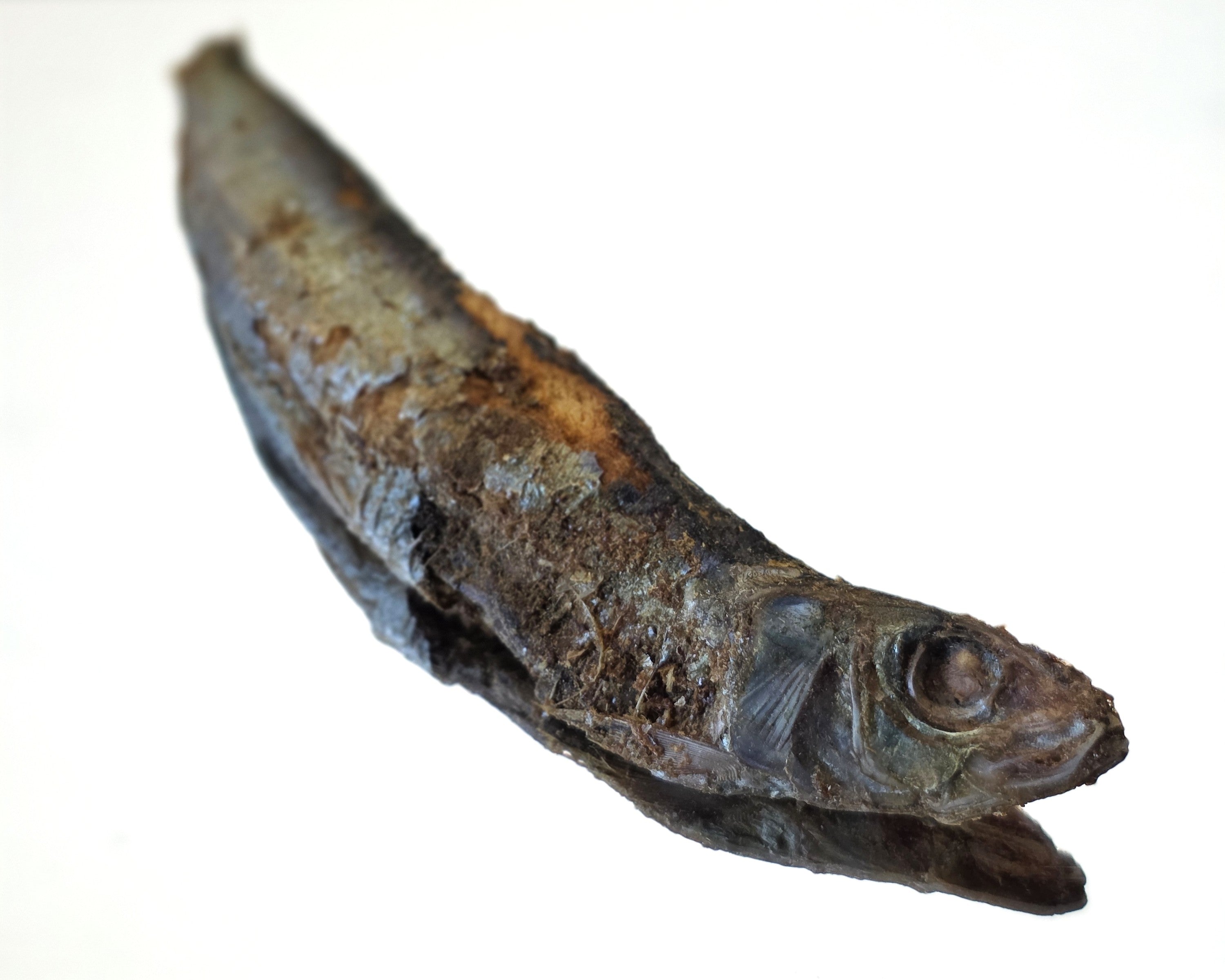 Freeze-Dried Sardine Sampler